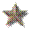 vietnam gold star.gif